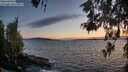 ./images/koeye/fitz-hugh/20260520/fitz-hugh20260520_212501M.jpg
