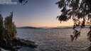 ./images/koeye/fitz-hugh/20260520/fitz-hugh20260520_214001M.jpg