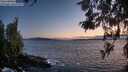 ./images/koeye/fitz-hugh/20260520/fitz-hugh20260520_215001M.jpg