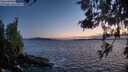 ./images/koeye/fitz-hugh/20260520/fitz-hugh20260520_215501M.jpg