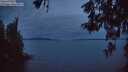 ./images/koeye/fitz-hugh/20260521/fitz-hugh20260521_045001M.jpg