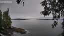 ./images/koeye/fitz-hugh/20260521/fitz-hugh20260521_083501M.jpg