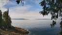 ./images/koeye/fitz-hugh/20260521/fitz-hugh20260521_123501M.jpg