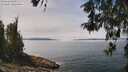 ./images/koeye/fitz-hugh/20260521/fitz-hugh20260521_125001M.jpg