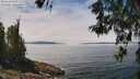 ./images/koeye/fitz-hugh/20260521/fitz-hugh20260521_125501M.jpg