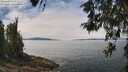 ./images/koeye/fitz-hugh/20260521/fitz-hugh20260521_130501M.jpg