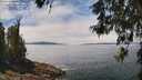./images/koeye/fitz-hugh/20260521/fitz-hugh20260521_131001M.jpg