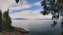 ./images/koeye/fitz-hugh/20260521/fitz-hugh20260521_132001M.jpg