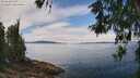 ./images/koeye/fitz-hugh/20260521/fitz-hugh20260521_132501M.jpg