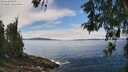 ./images/koeye/fitz-hugh/20260521/fitz-hugh20260521_133001M.jpg