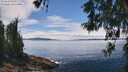 ./images/koeye/fitz-hugh/20260521/fitz-hugh20260521_134501M.jpg