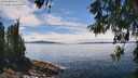 ./images/koeye/fitz-hugh/20260521/fitz-hugh20260521_135001M.jpg