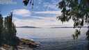 ./images/koeye/fitz-hugh/20260521/fitz-hugh20260521_140501M.jpg