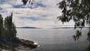 ./images/koeye/fitz-hugh/20260521/fitz-hugh20260521_142001M.jpg