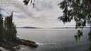 ./images/koeye/fitz-hugh/20260521/fitz-hugh20260521_144501M.jpg