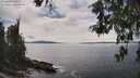 ./images/koeye/fitz-hugh/20260521/fitz-hugh20260521_145501M.jpg