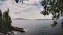 ./images/koeye/fitz-hugh/20260521/fitz-hugh20260521_150501M.jpg