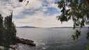 ./images/koeye/fitz-hugh/20260521/fitz-hugh20260521_151001M.jpg