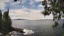 ./images/koeye/fitz-hugh/20260521/fitz-hugh20260521_151501M.jpg