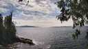./images/koeye/fitz-hugh/20260521/fitz-hugh20260521_153501M.jpg