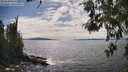 ./images/koeye/fitz-hugh/20260521/fitz-hugh20260521_155001M.jpg