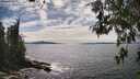 ./images/koeye/fitz-hugh/20260521/fitz-hugh20260521_155501M.jpg