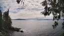 ./images/koeye/fitz-hugh/20260521/fitz-hugh20260521_161501M.jpg