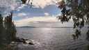 ./images/koeye/fitz-hugh/20260521/fitz-hugh20260521_164001M.jpg