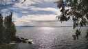 ./images/koeye/fitz-hugh/20260521/fitz-hugh20260521_164501M.jpg