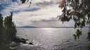 ./images/koeye/fitz-hugh/20260521/fitz-hugh20260521_165002M.jpg