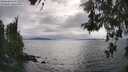 ./images/koeye/fitz-hugh/20260521/fitz-hugh20260521_173501M.jpg
