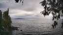 ./images/koeye/fitz-hugh/20260521/fitz-hugh20260521_174502M.jpg
