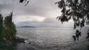 ./images/koeye/fitz-hugh/20260521/fitz-hugh20260521_175001M.jpg