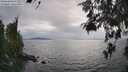 ./images/koeye/fitz-hugh/20260521/fitz-hugh20260521_175501M.jpg