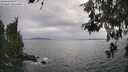./images/koeye/fitz-hugh/20260521/fitz-hugh20260521_180002M.jpg