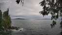 ./images/koeye/fitz-hugh/20260521/fitz-hugh20260521_183002M.jpg