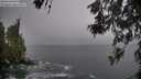 ./images/koeye/fitz-hugh/20260522/fitz-hugh20260522_054002M.jpg