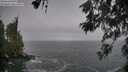 ./images/koeye/fitz-hugh/20260522/fitz-hugh20260522_063501M.jpg
