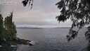 ./images/koeye/fitz-hugh/20260522/fitz-hugh20260522_080501M.jpg
