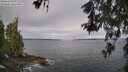 ./images/koeye/fitz-hugh/20260522/fitz-hugh20260522_083501M.jpg