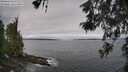 ./images/koeye/fitz-hugh/20260522/fitz-hugh20260522_085002M.jpg