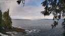 ./images/koeye/fitz-hugh/20260522/fitz-hugh20260522_092001M.jpg