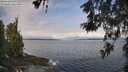 ./images/koeye/fitz-hugh/20260522/fitz-hugh20260522_092501M.jpg