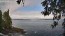 ./images/koeye/fitz-hugh/20260522/fitz-hugh20260522_093501M.jpg