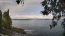 ./images/koeye/fitz-hugh/20260522/fitz-hugh20260522_094501M.jpg
