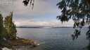 ./images/koeye/fitz-hugh/20260522/fitz-hugh20260522_095501M.jpg