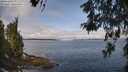 ./images/koeye/fitz-hugh/20260522/fitz-hugh20260522_100501M.jpg