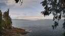 ./images/koeye/fitz-hugh/20260522/fitz-hugh20260522_102501M.jpg