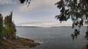 ./images/koeye/fitz-hugh/20260522/fitz-hugh20260522_103501M.jpg