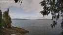 ./images/koeye/fitz-hugh/20260522/fitz-hugh20260522_105001M.jpg
